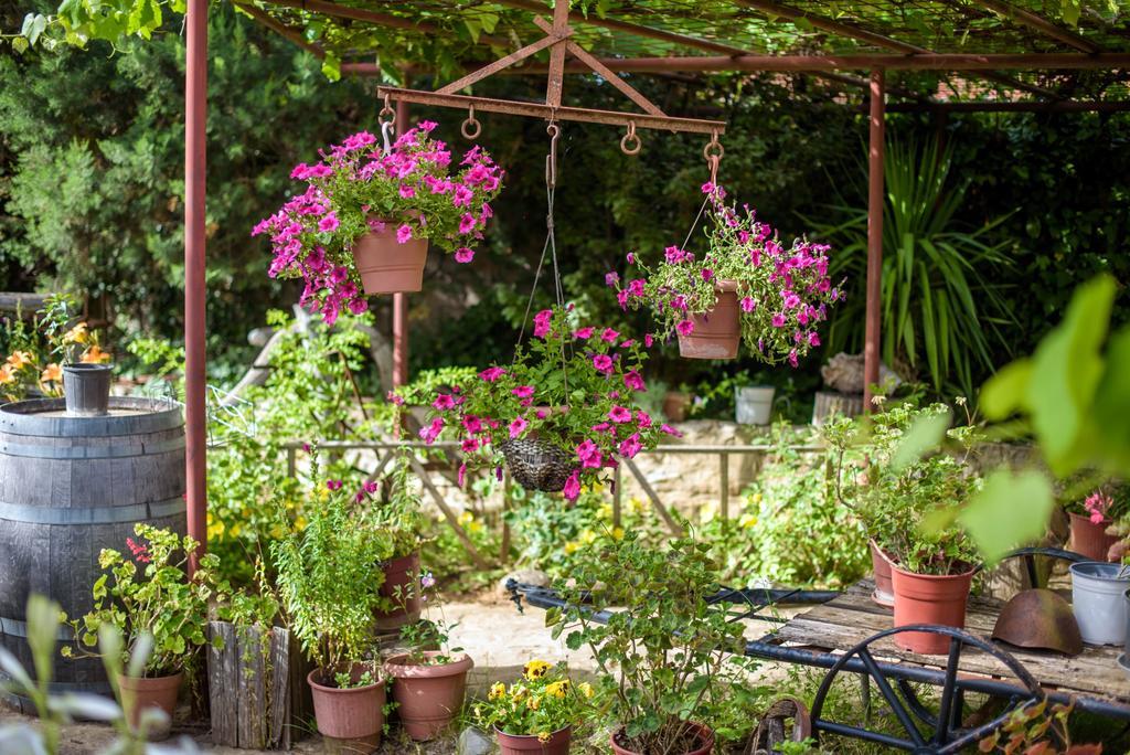 Guesthouse Alexandros Nestorion Luaran gambar